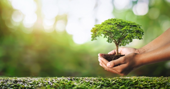 Growing Community Impact